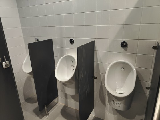 Auditório José de Castro — fotografia 1