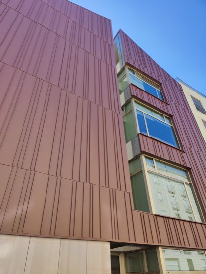 Redbridge School — fotografia 7